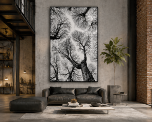 Black And White Tree Wall Art, Framed Canvas Print, Minimalist Nature Photography, Scandinavian Living Room Decor, Large Neutral Wall Art