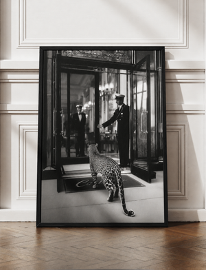 Luxury Leopard Hotel Canvas Print, Black and White Leopard Wall Art, Framed Safari Canvas, Cinematic Animal Photography Decor