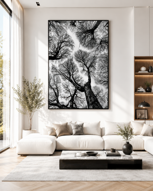 Black And White Tree Wall Art, Framed Canvas Print, Minimalist Nature Photography, Scandinavian Living Room Decor, Large Neutral Wall Art