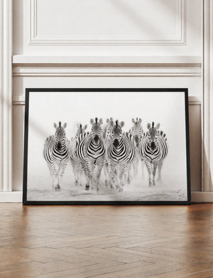 Zebra Framed Canvas Wall Art, Black and White Safari Print, Modern Wildlife Photography Decor, Neutral Animal Canvas