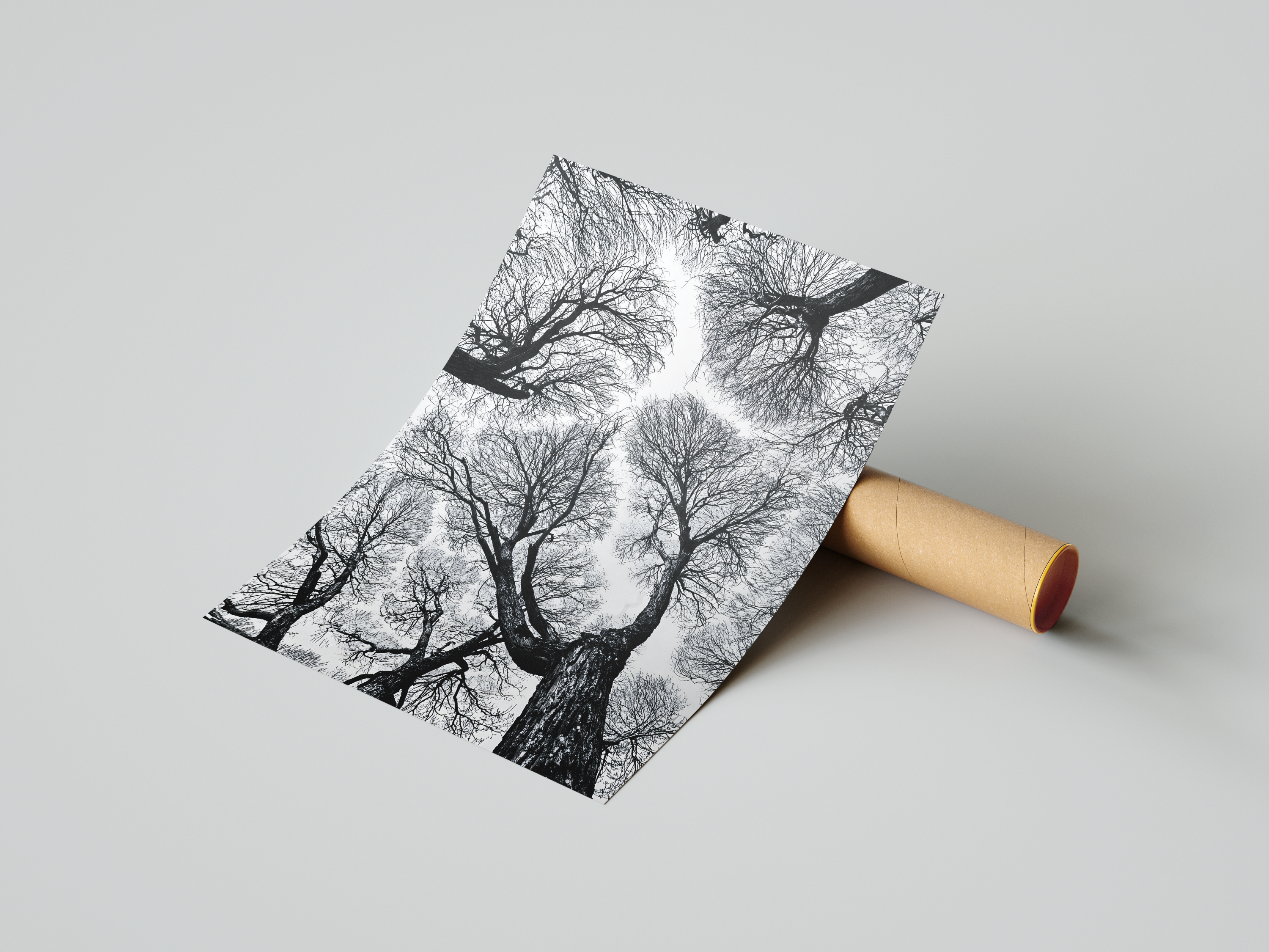 Black And White Tree Wall Art, Framed Canvas Print, Minimalist Nature Photography, Scandinavian Living Room Decor, Large Neutral Wall Art