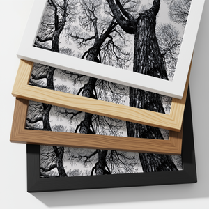 Black And White Tree Wall Art, Framed Canvas Print, Minimalist Nature Photography, Scandinavian Living Room Decor, Large Neutral Wall Art