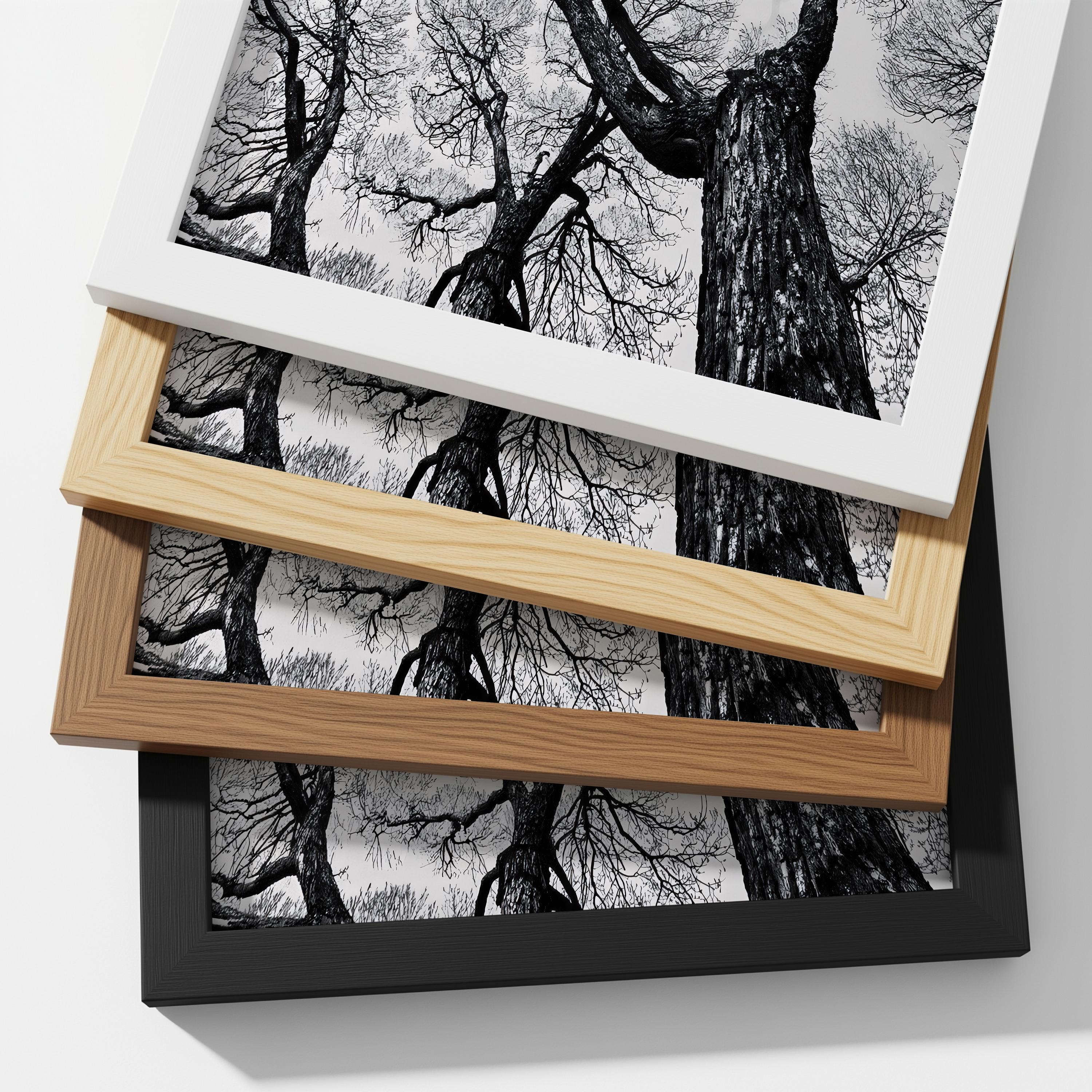 Black And White Tree Wall Art, Framed Canvas Print, Minimalist Nature Photography, Scandinavian Living Room Decor, Large Neutral Wall Art