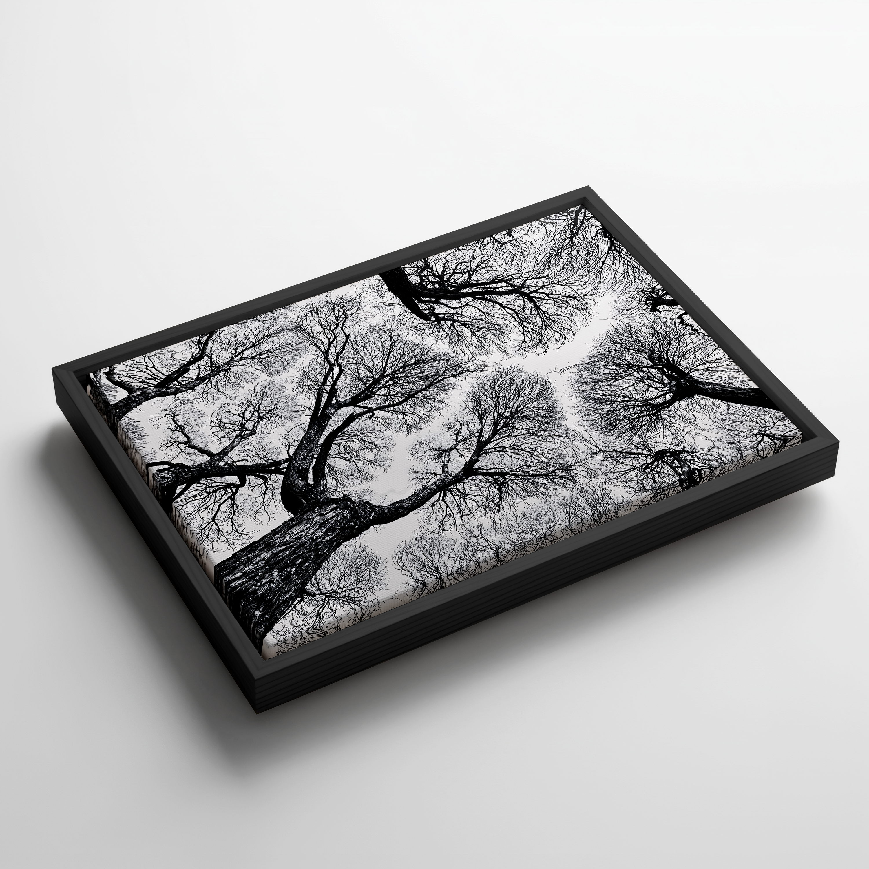 Black And White Tree Wall Art, Framed Canvas Print, Minimalist Nature Photography, Scandinavian Living Room Decor, Large Neutral Wall Art