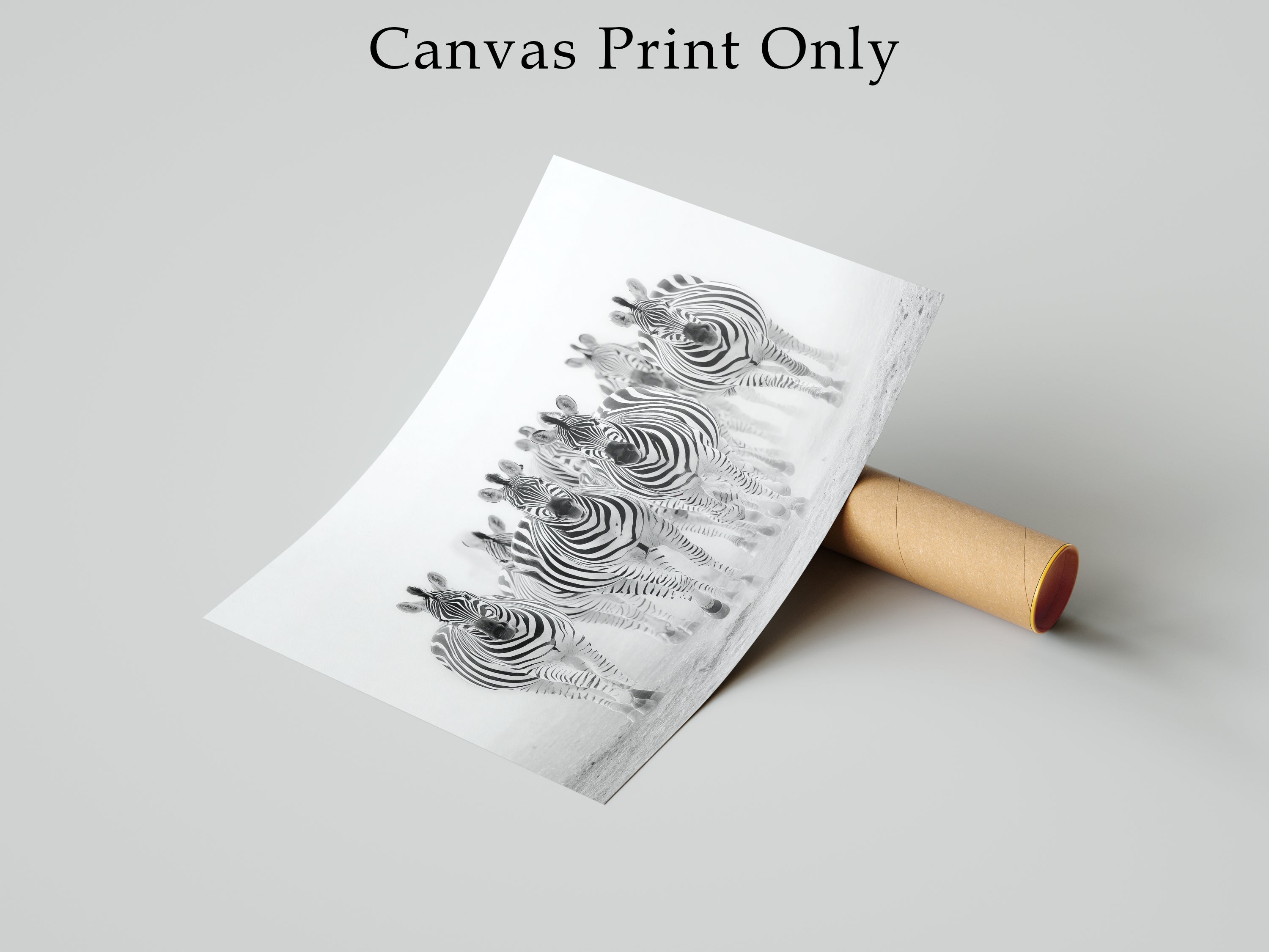 Zebra Framed Canvas Wall Art, Black and White Safari Print, Modern Wildlife Photography Decor, Neutral Animal Canvas